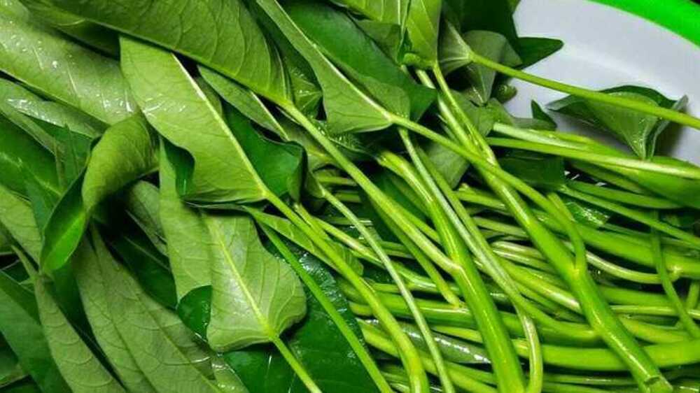 Sayur: Kunci Alami Menjaga Jantung Tetap Sehat dan Kuat